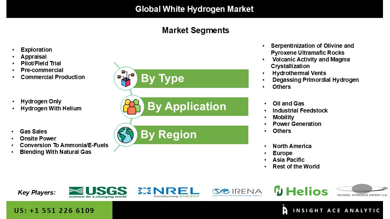 White Hydrogen Market seg White Hydrogen Market seg