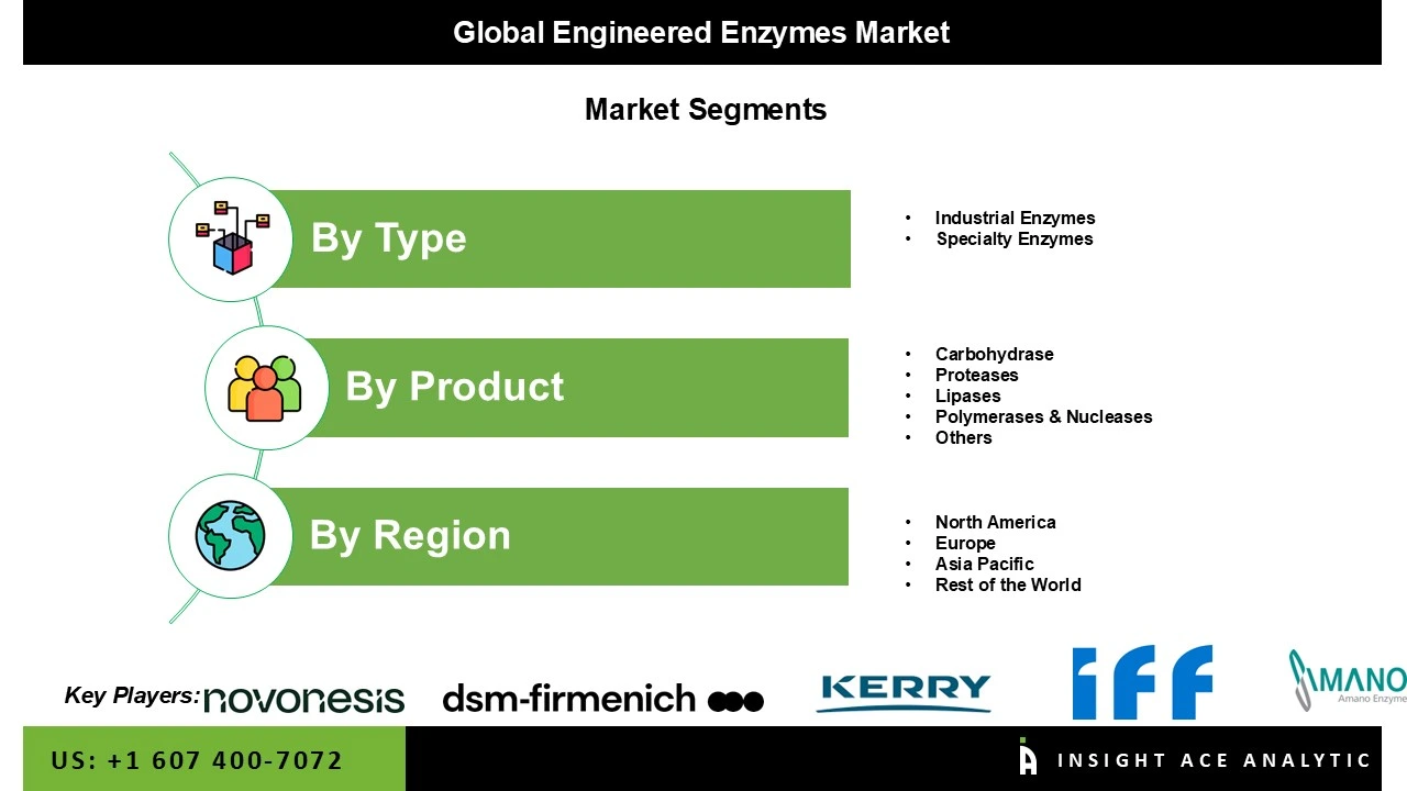 engineered enzymes market Seg engineered enzymes market